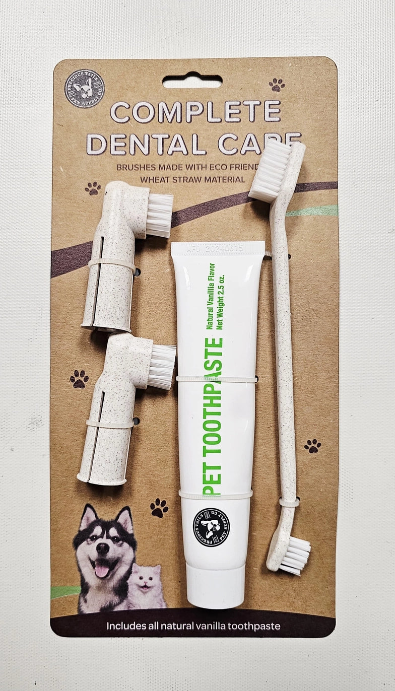 Dental Care Kit
