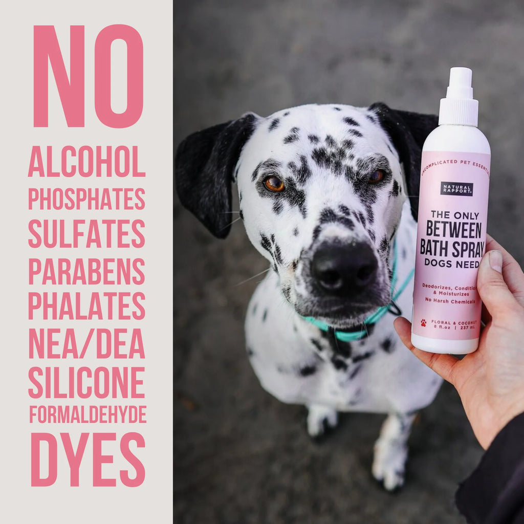 The Only Between Bath Spray Dogs Need - Floral & Coconut - 3oz