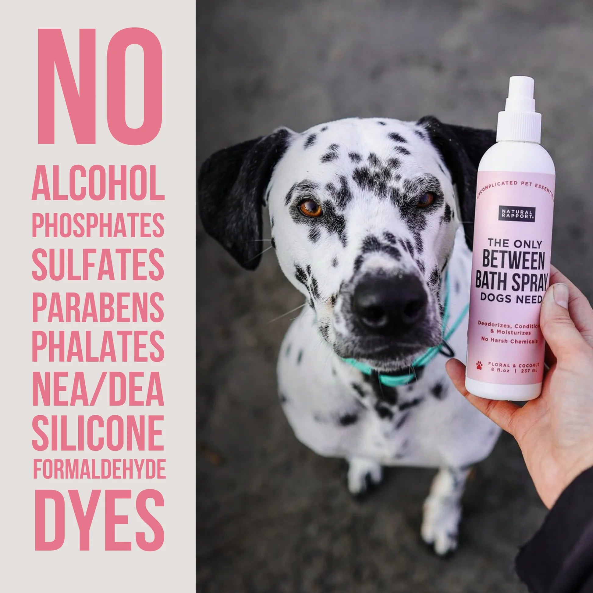The Only Between Bath Spray Dogs Need - Floral & Coconut - 3oz